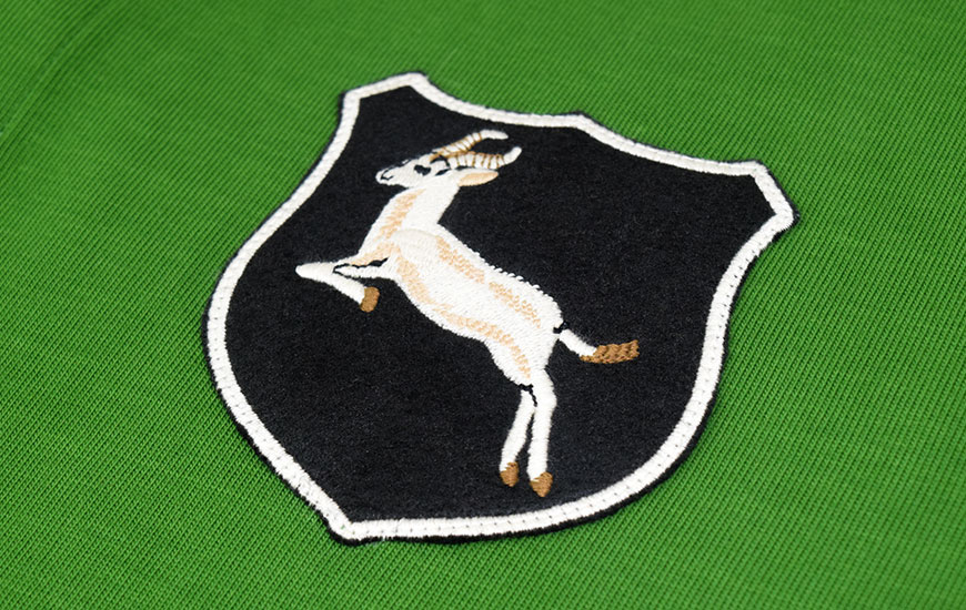 Close up of South Africa badge details